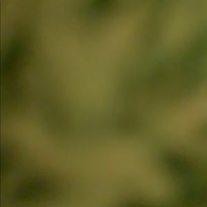 Meet your Posher, Gabby